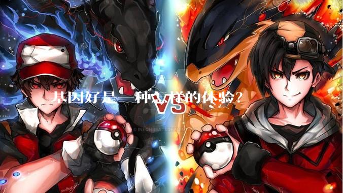 基因好是一种怎样的体验？