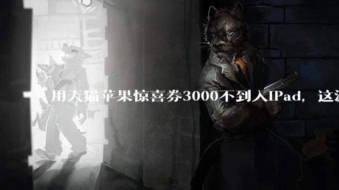 用天猫苹果惊喜券3000不到入iPad，这波叠加九折券是入手的好机会吗？还有什么能入？